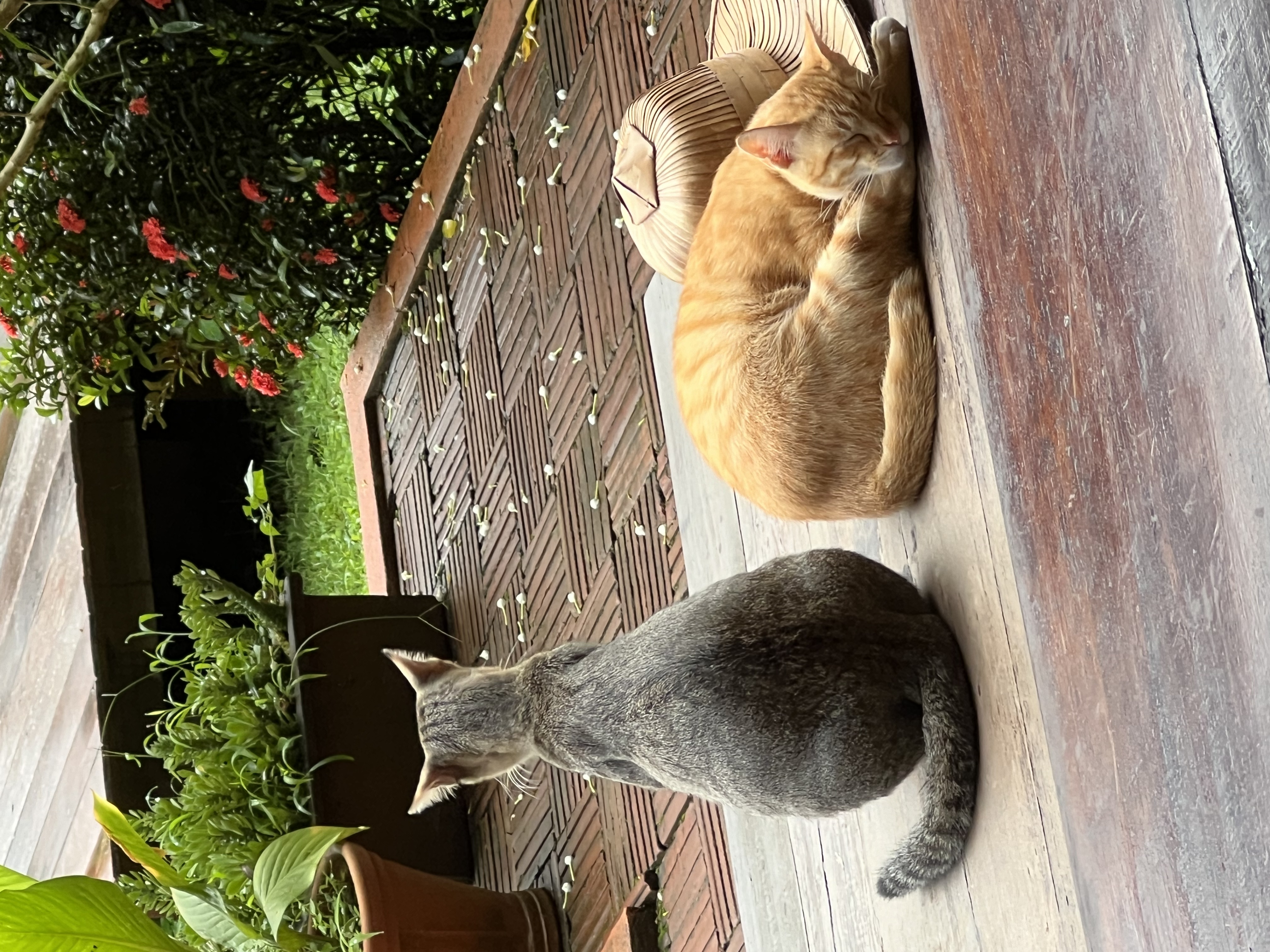 Output image with filter